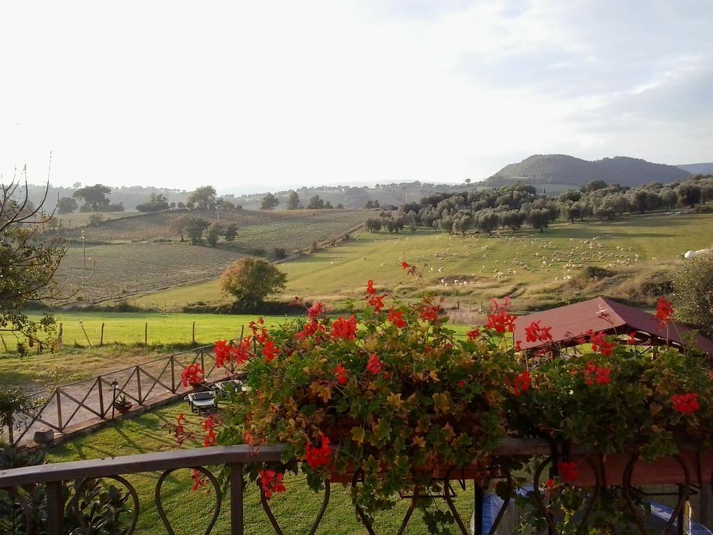Agriturismo La Valle Degli Ulivi Semproniano Kültér fotó