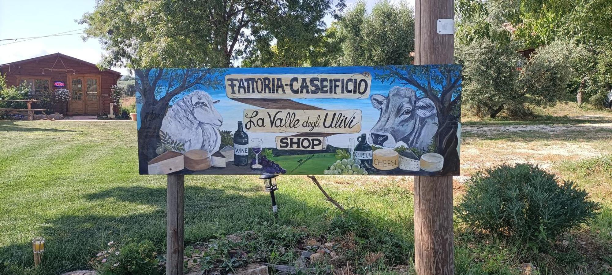 Agriturismo La Valle Degli Ulivi Semproniano Kültér fotó