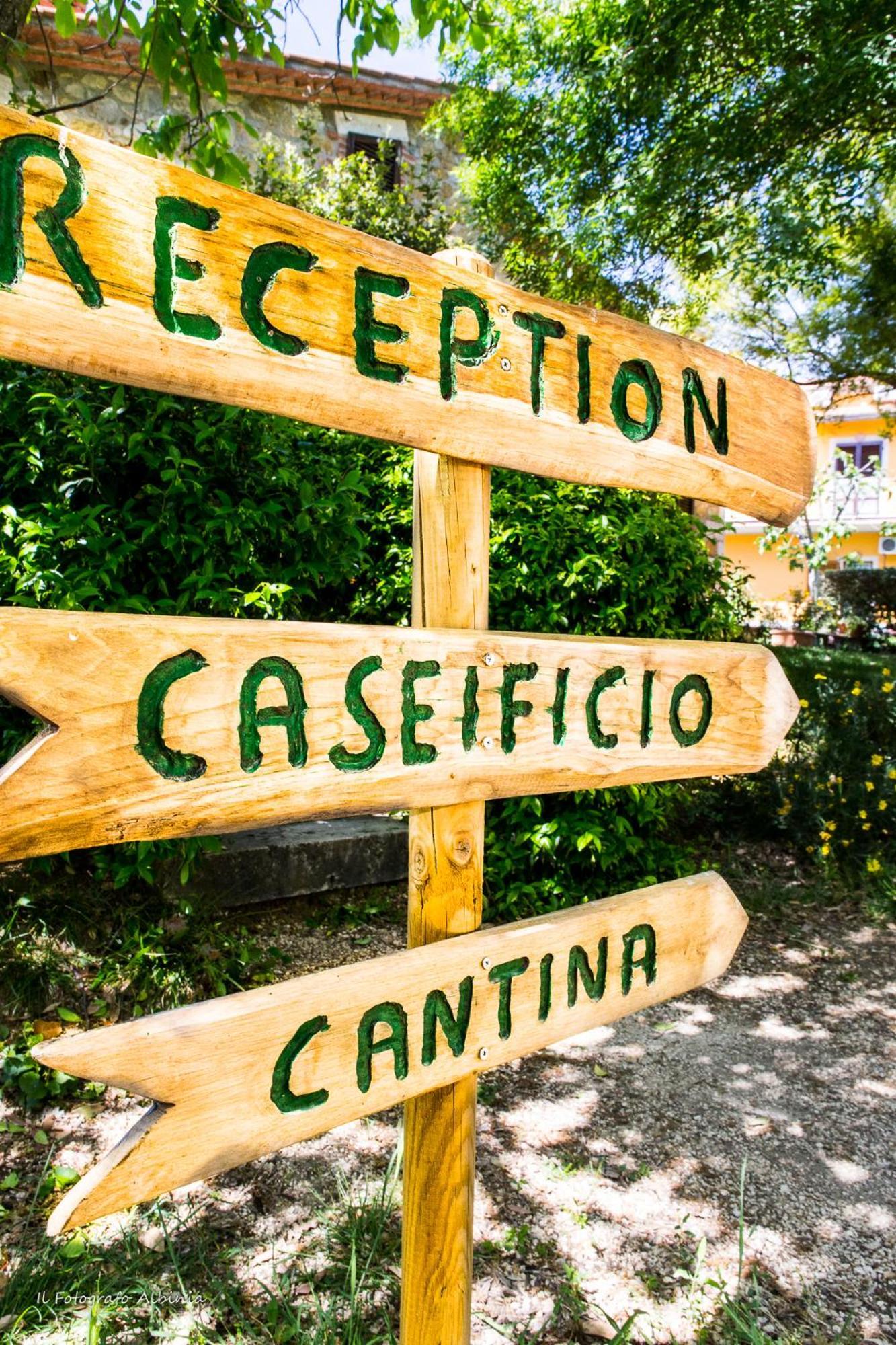 Agriturismo La Valle Degli Ulivi Semproniano Kültér fotó