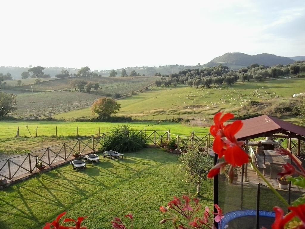 Agriturismo La Valle Degli Ulivi Semproniano Kültér fotó
