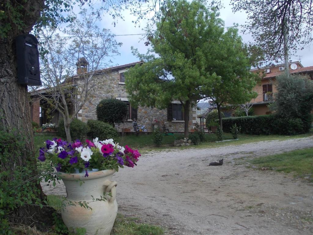 Agriturismo La Valle Degli Ulivi Semproniano Kültér fotó